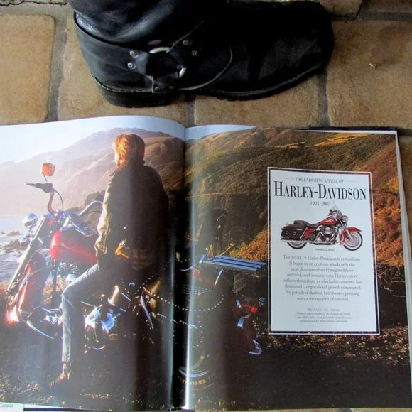 HARLEY-DAVIDSON BOOK, HUGO WILSON, H-D MOTORCYCLES, BIKERS, 2003, DK PUBLISHER - Picture 8 of 9